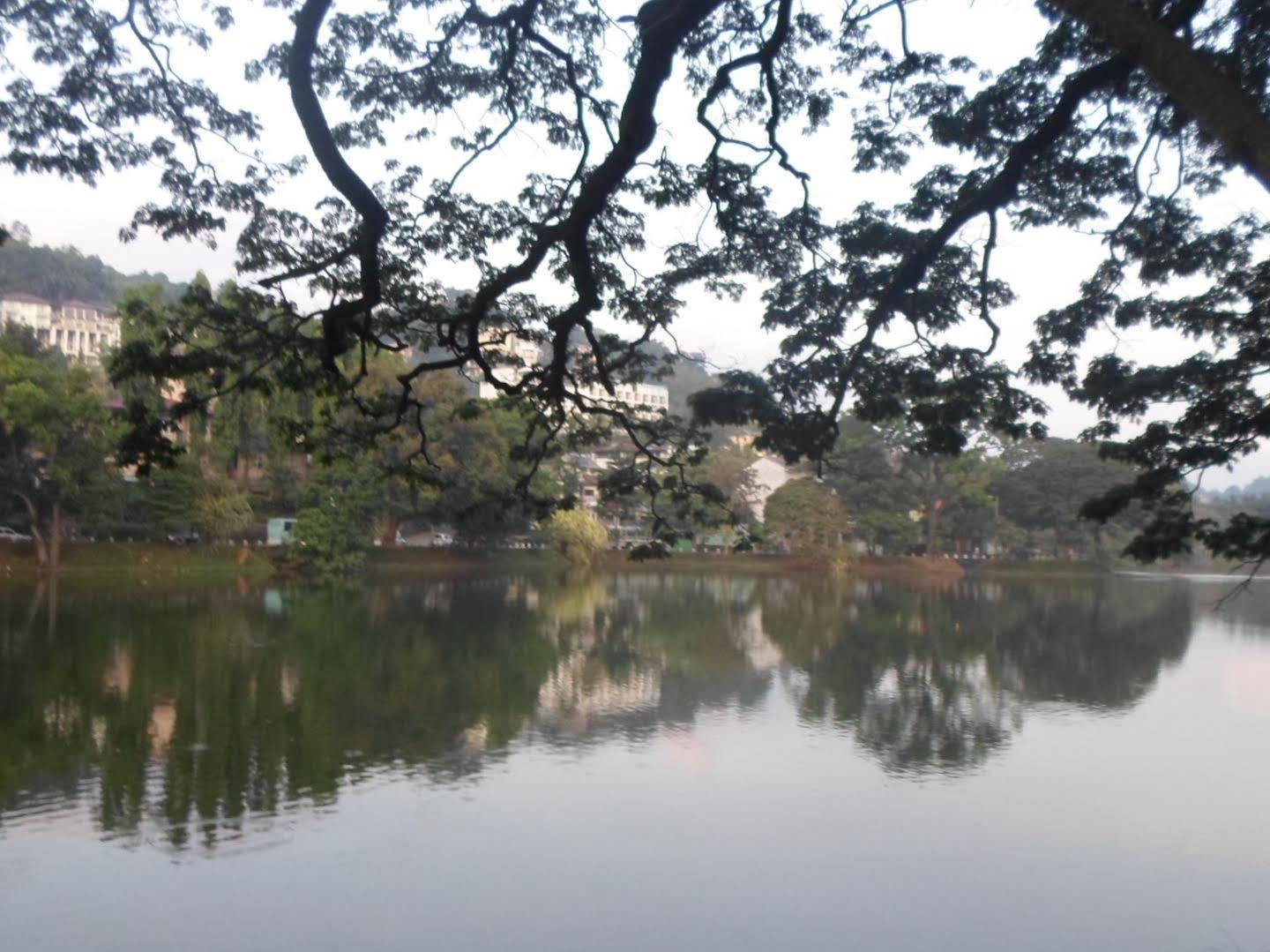 Kandy Green View Bungalow Экстерьер фото
